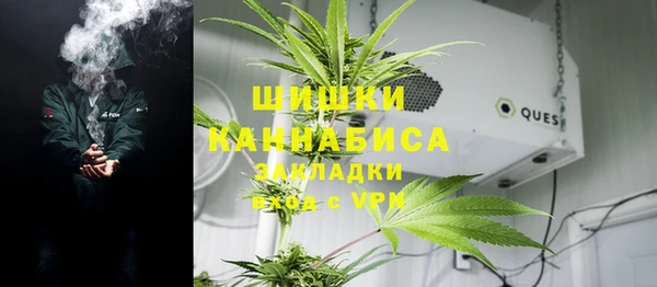 дурь Осинники