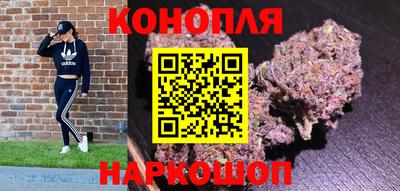 тгк Ставрополь