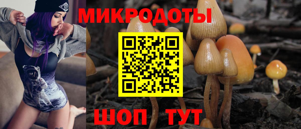 Галлюциногенные грибы Magic Shrooms Советск